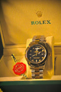 RLX Sophisticated S-66